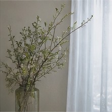 育っていく花の景色
